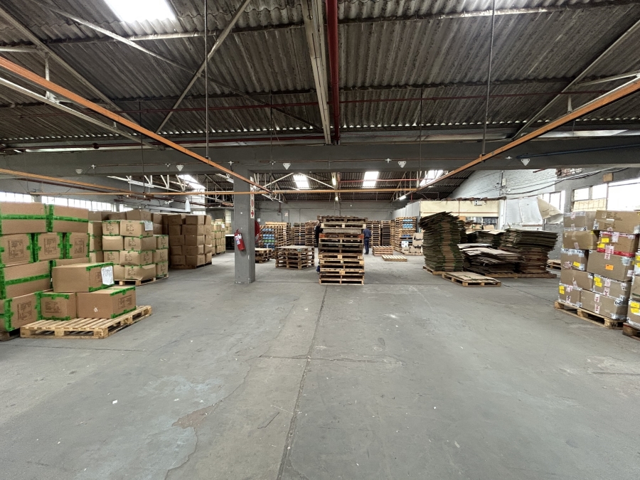 To Let Commercial Property for Rent in Epping Industrial Western Cape